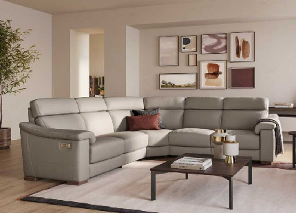 natuzzi editions
